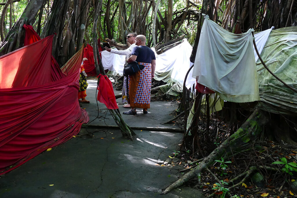 tours de l'ile Nosy be