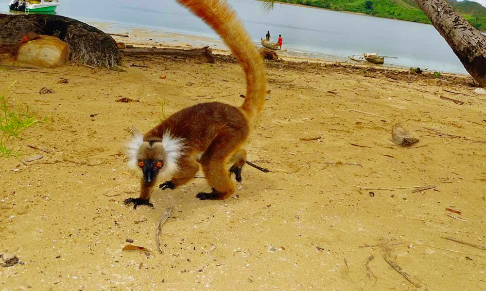 Croisière en Catamaran à Nosy-Be sur Grande terre