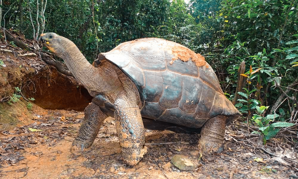 Croisière en Catamaran à Nosy-Be sur Grande terre