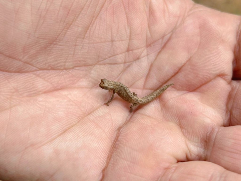 Circuit Tours Nord Madagascar