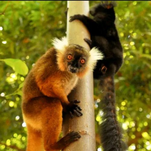 FB_IMG_16828411050030407