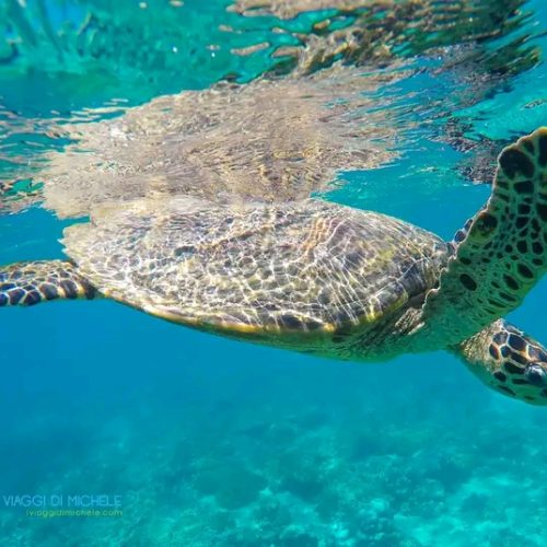 FB_IMG_16828463744930729